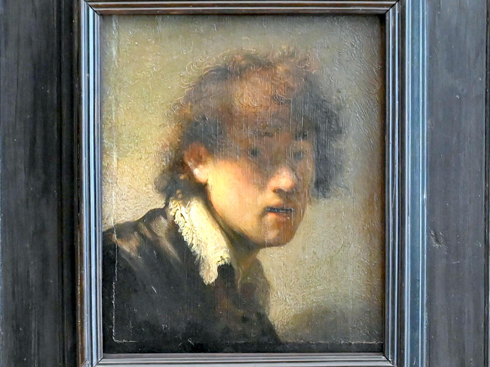 Rembrandt (Rembrandt Harmenszoon van Rijn) (1606 Leiden - 1669 Amsterdam), Bild 9/20