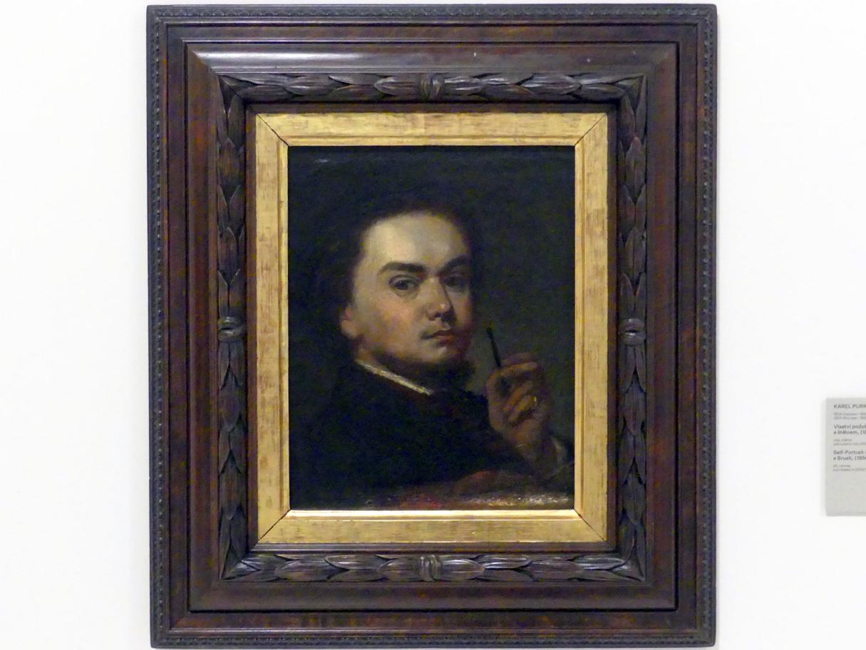 Karel Purkyně (1834 Breslau - 1868 Prag)