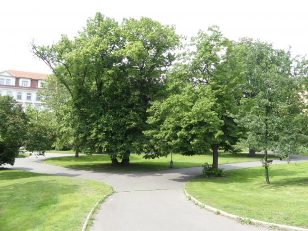 Prag-Smíchov, ehem. Jesuitengarten, unter Maria Theresa Botanischer Garten, heute 'Dientzenhofer-Garten', Bild 1/4