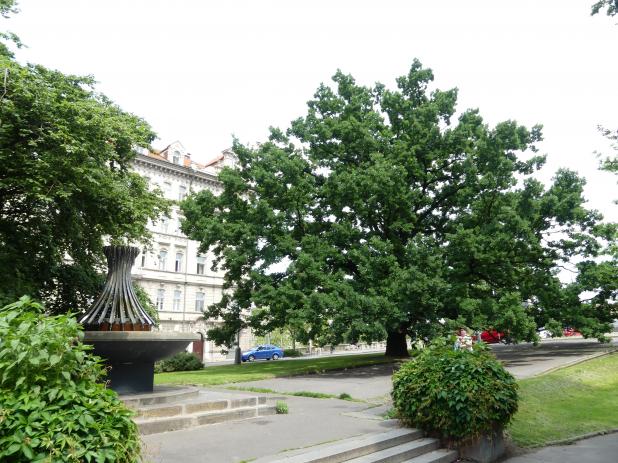 Prag-Smíchov, ehem. Jesuitengarten, unter Maria Theresa Botanischer Garten, heute 'Dientzenhofer-Garten', Bild 4/4