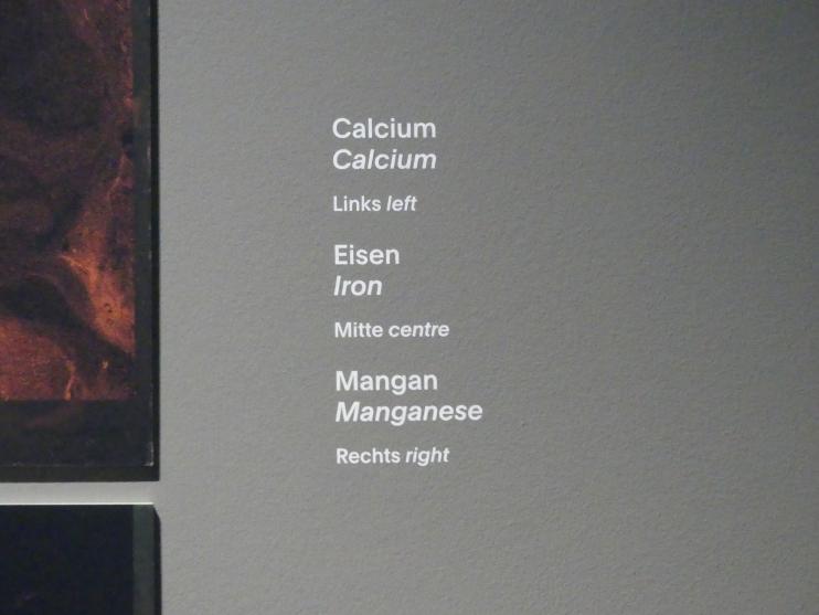 München, Alte Pinakothek, Ausstellung "Van Dyck" vom 25.10.2019-2.2.2020, Bild 6/6