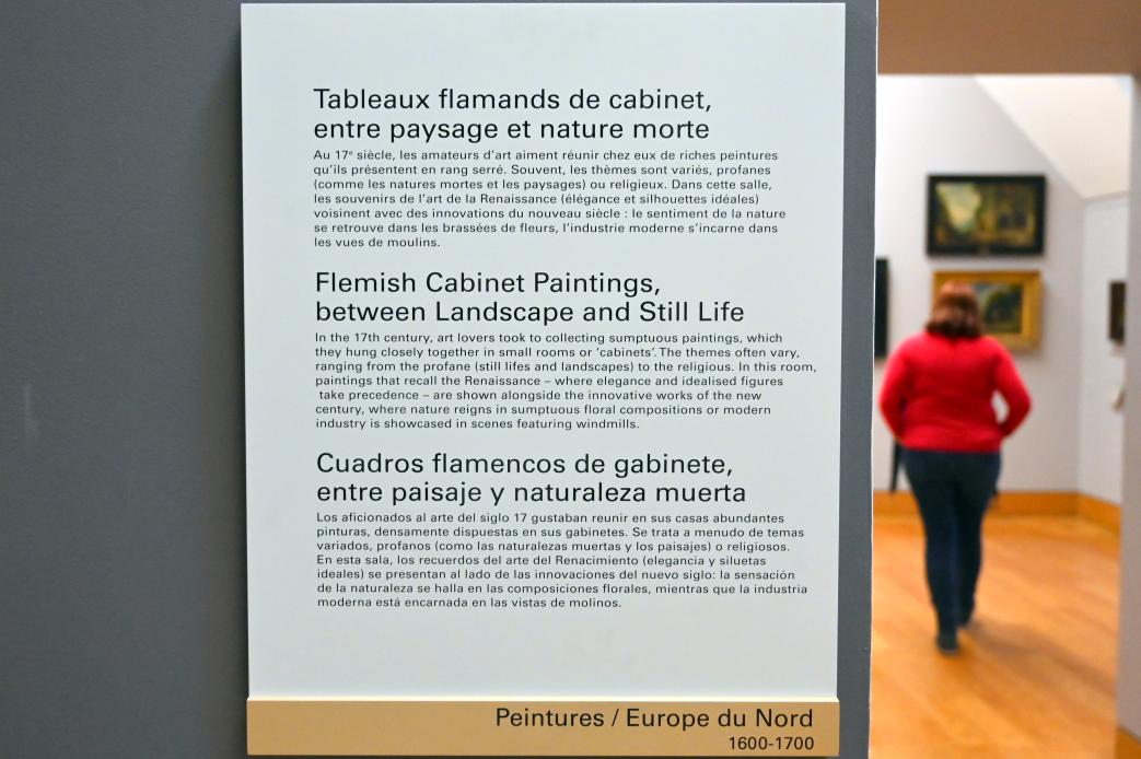 Paris, Musée du Louvre, Saal 808, Bild 3/3