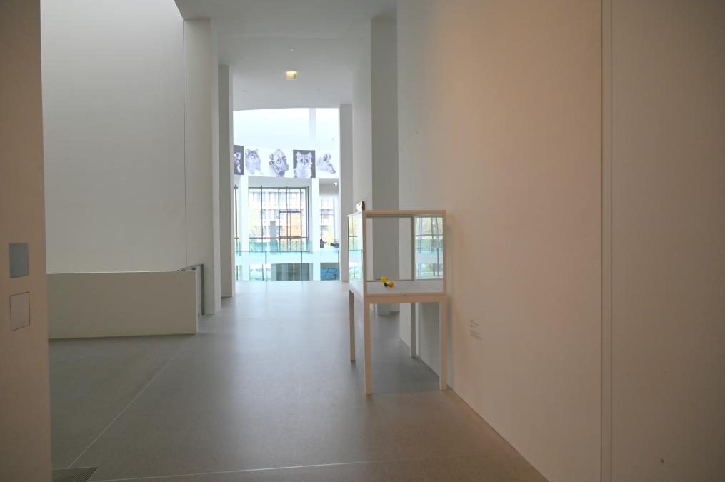 München, Pinakothek der Moderne, Saal 16a 2022