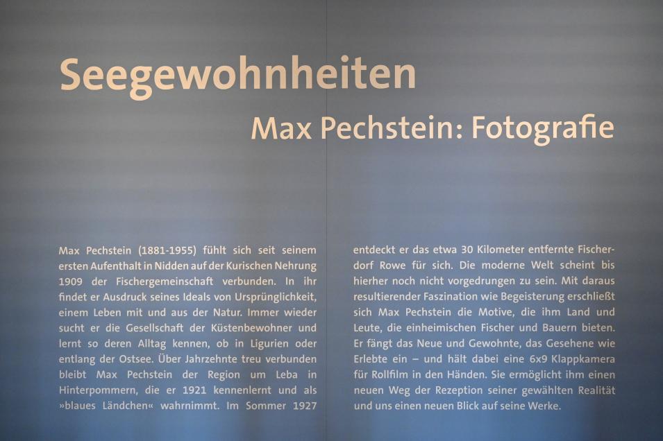 Zwickau, Kunstsammlungen, Max-Pechstein-Museum - Seegewohnheiten, Bild 3/9