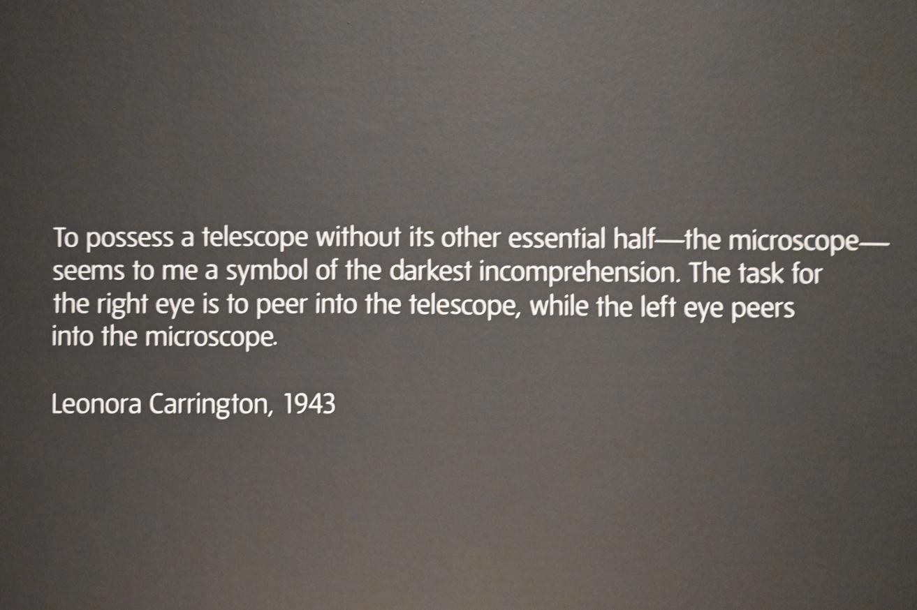London, Tate Modern, Ausstellung "Surrealism Beyond Borders" vom 24.02.-29.08.2022, Saal 5, Bild 5/5