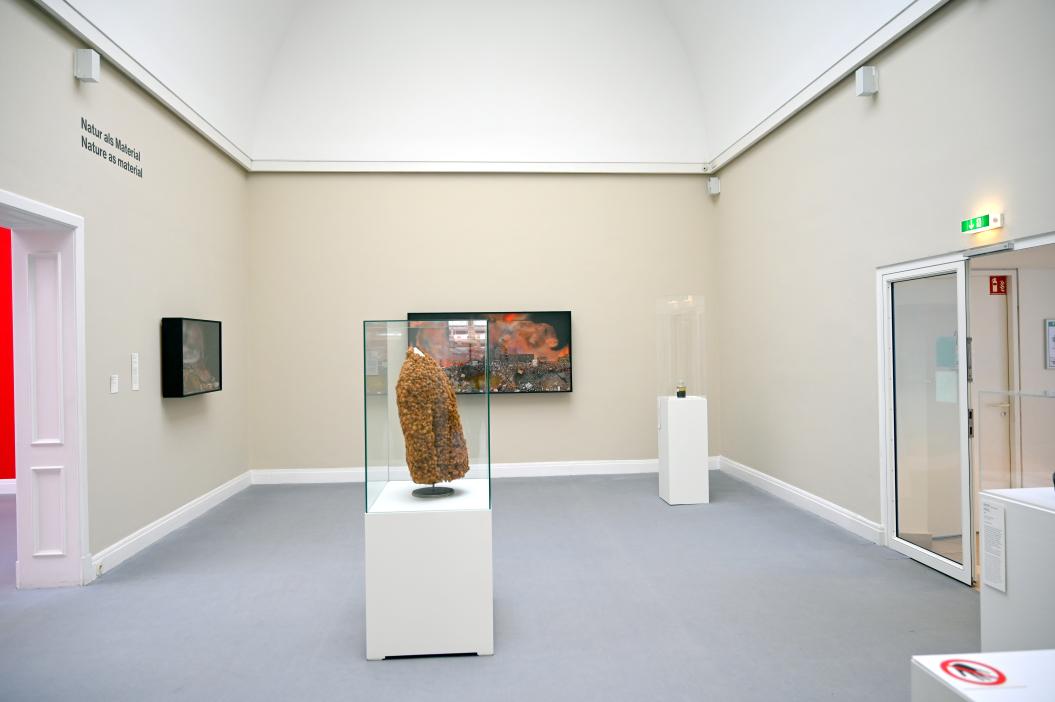 Kiel, Kunsthalle, Natur als Material, Bild 3/3