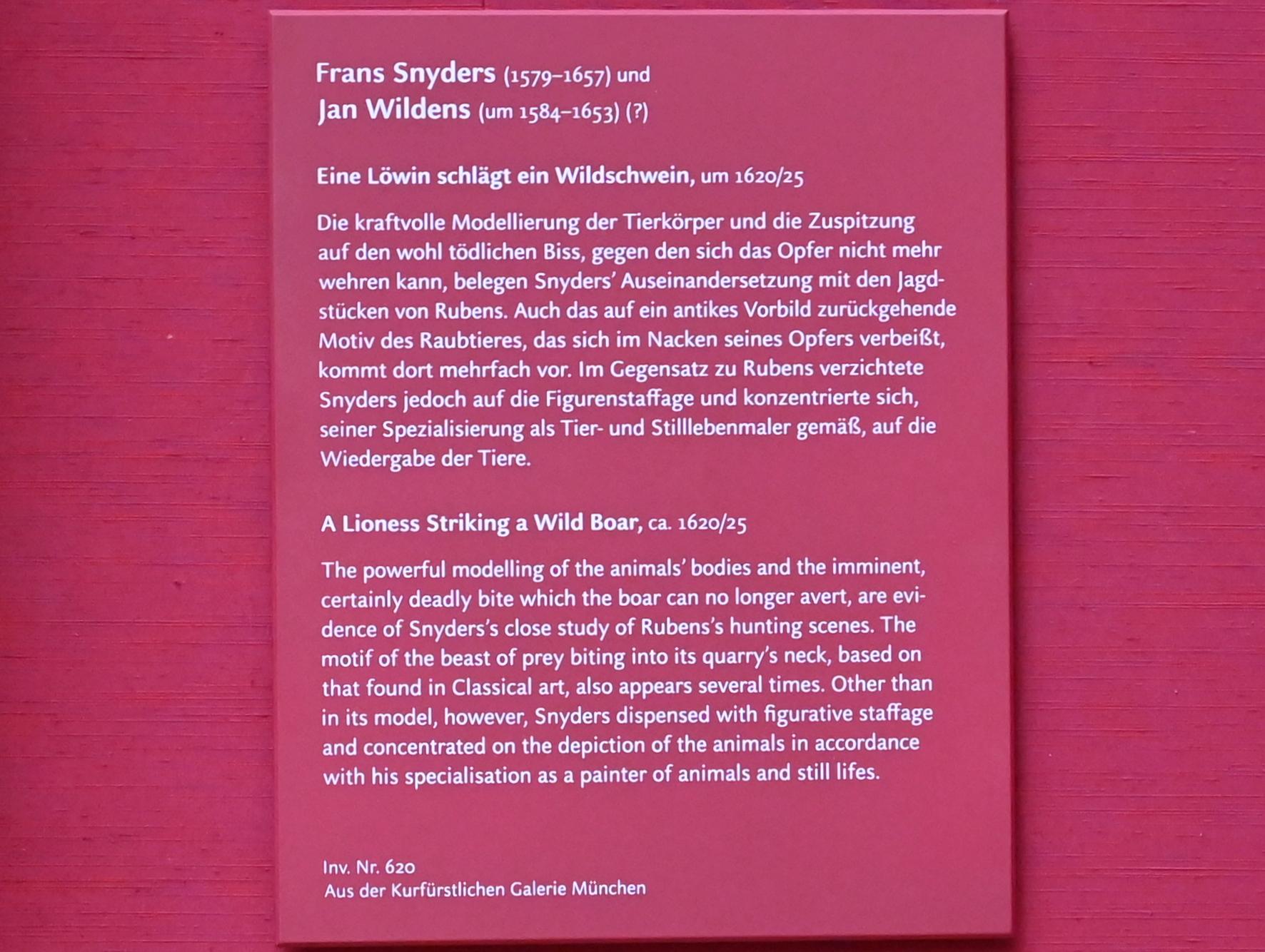 Frans Snyders (1610–1650), Eine Löwin schlägt ein Wildschwein, München, Alte Pinakothek, Obergeschoss Saal VII, um 1620–1625, Bild 2/2