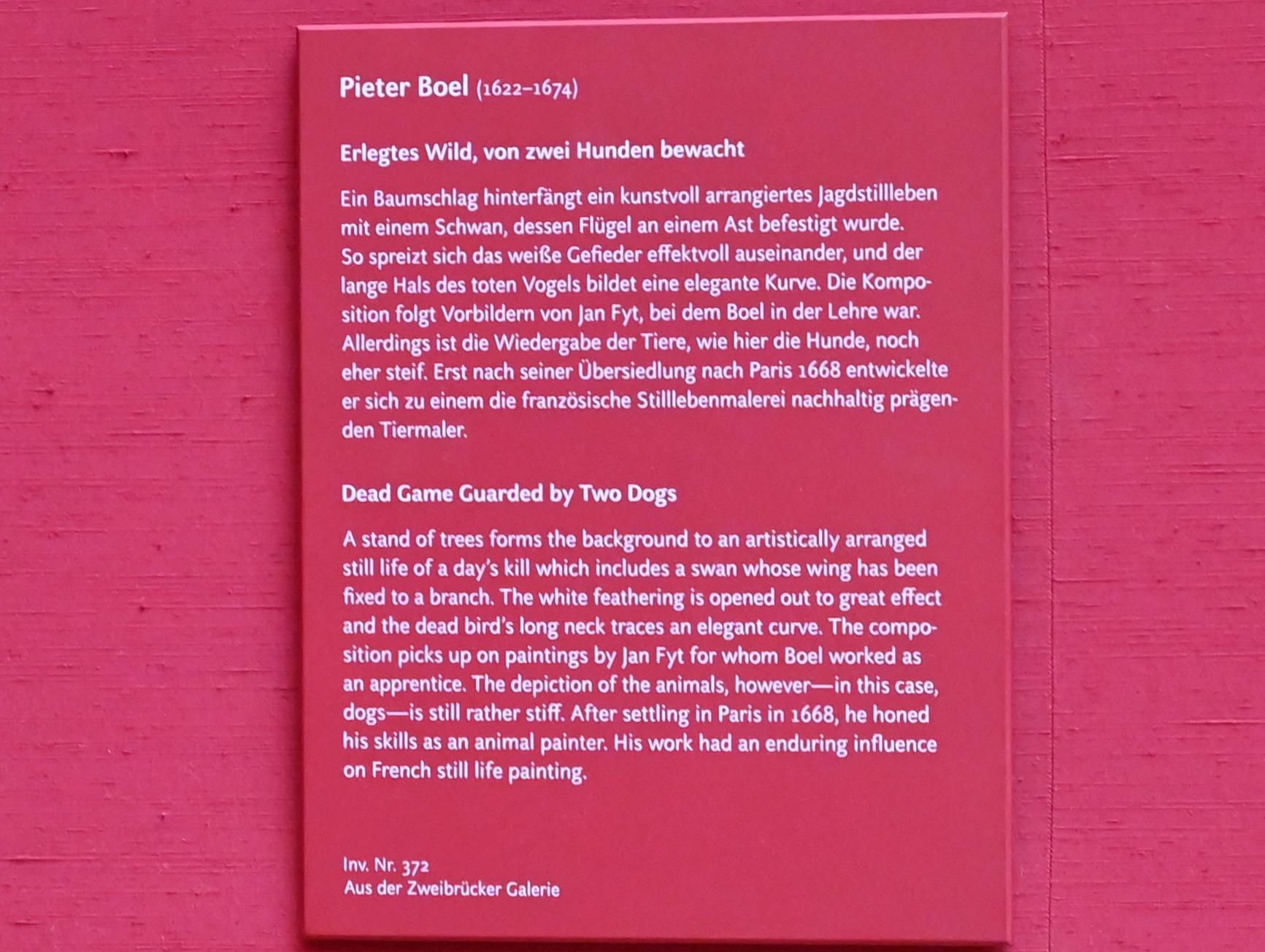 Pieter Boel (1659–1669), Erlegtes Wild, von zwei Hunden bewacht, München, Alte Pinakothek, Obergeschoss Saal VIII, Undatiert, Bild 2/2