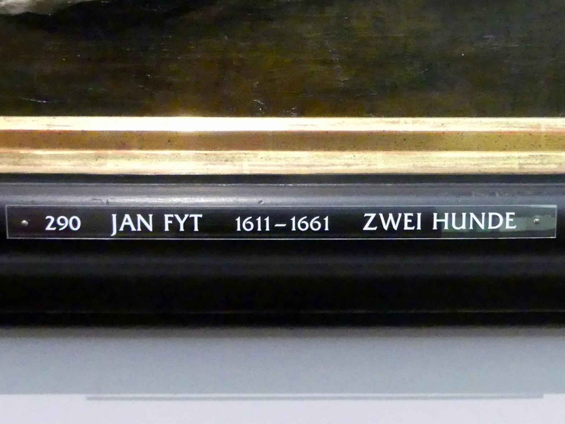 Jan Fyt (1647–1655), Zwei Hunde an einem Kalbskopf, Neuburg an der Donau, Staatsgalerie Neuburg, Undatiert, Bild 2/2
