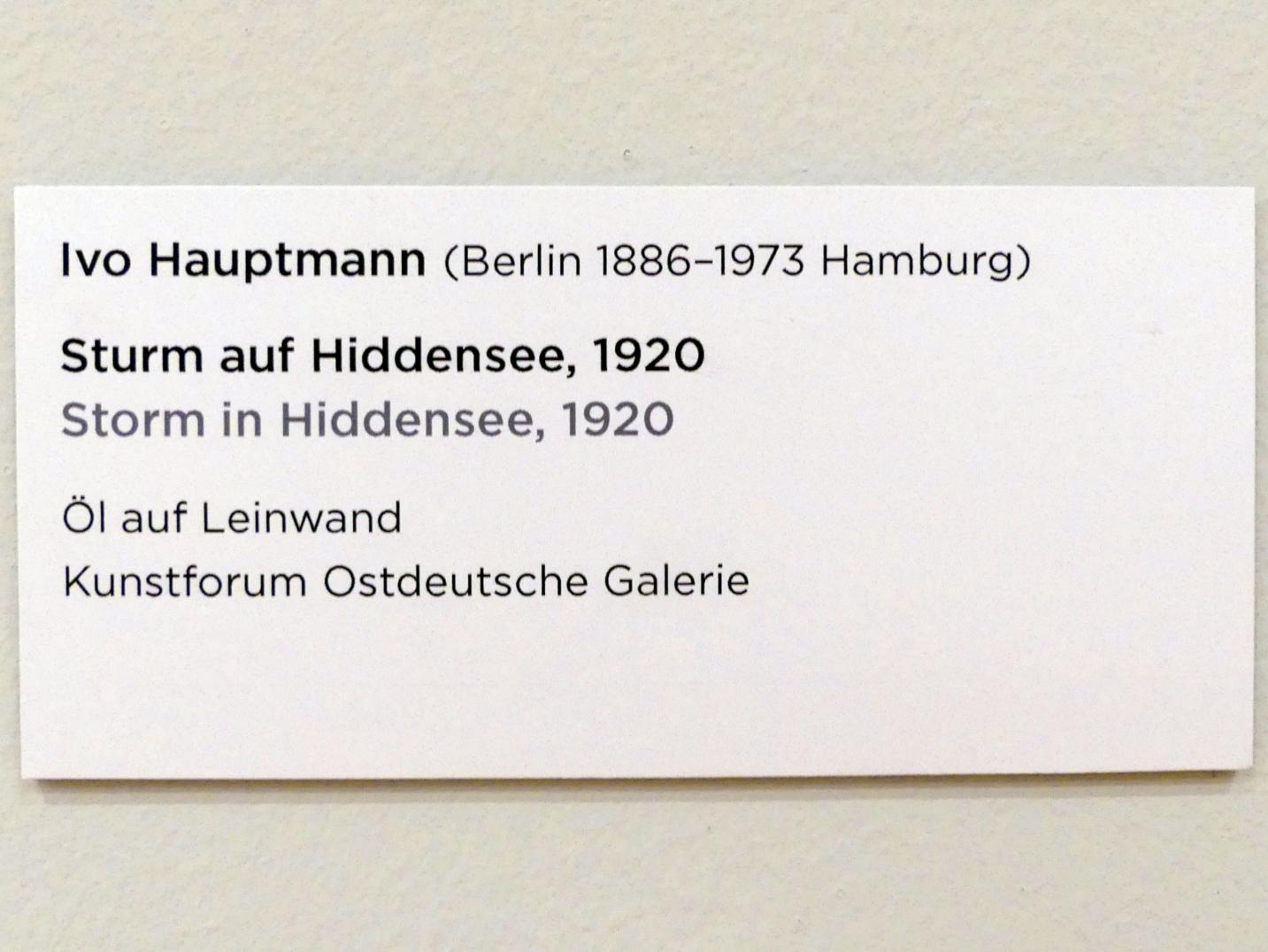 Ivo Hauptmann (1920), Sturm auf Hiddensee, Regensburg, Ostdeutsche Galerie, Saal 6, 1920, Bild 2/2