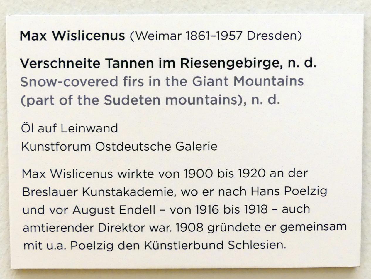Max Wislicenus (1900–1924), Verschneite Tannen im Riesengebirge, Regensburg, Ostdeutsche Galerie, Saal 8, Undatiert, Bild 2/2