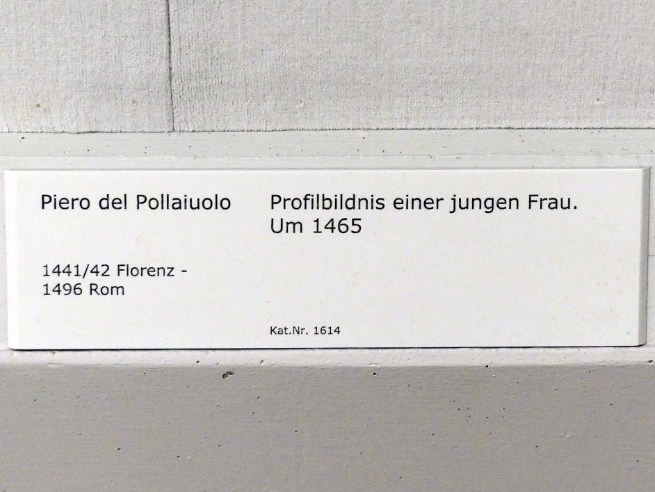Piero del Pollaiuolo (1465–1475), Profilbildnis einer jungen Frau, Berlin, Gemäldegalerie ("Berliner Wunder"), Kabinett 39, um 1465, Bild 2/2