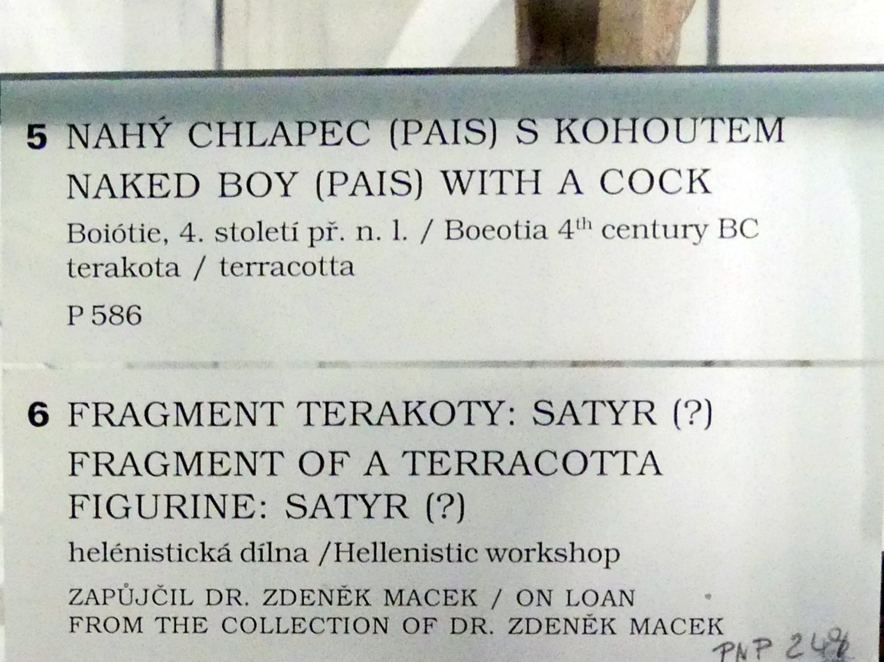 Nackter Knabe (Pais) mit einem Hahn, Prag, Nationalgalerie im Palais Sternberg, 1. Obergeschoss, Saal 1, 4. Jhd. v. Chr., Bild 2/2