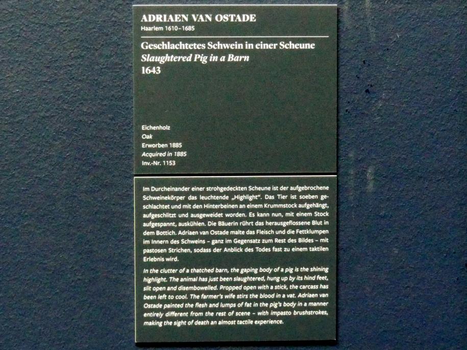 Adriaen van Ostade (1635–1670), Geschlachtetes Schwein in einer Scheune, Frankfurt am Main, Städel Museum, 2. Obergeschoss, Saal 7, 1643, Bild 2/2