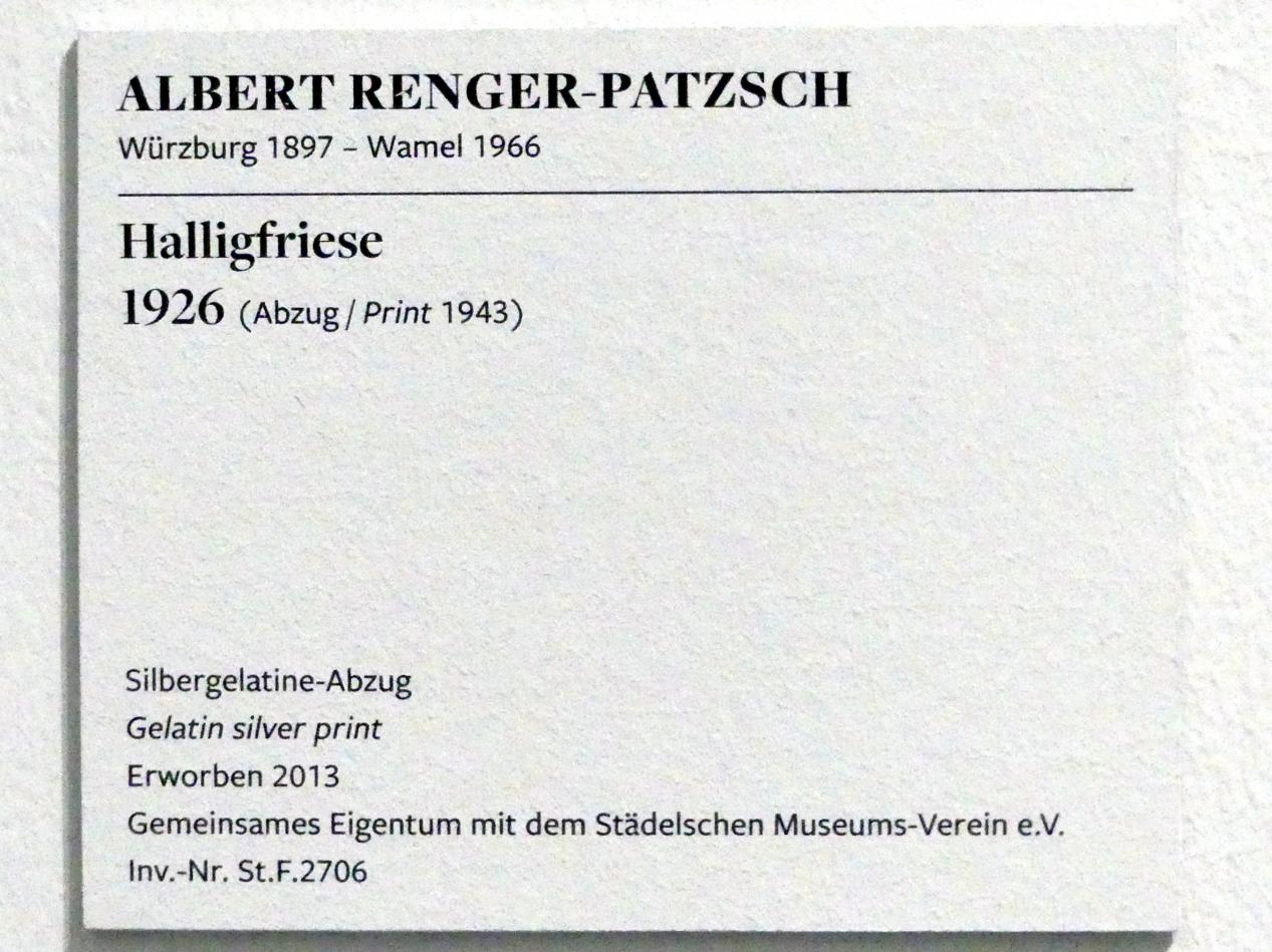 Albert Renger-Patzsch (1925–1959), Halligfriese, Frankfurt am Main, Städel Museum, 1. Obergeschoss, Saal 15, 1926, Bild 2/2