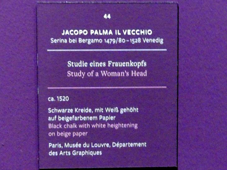 Jacopo Palma il Vecchio (Jacomo Nigretti de Lavalle) (1500–1526), Studie eines Frauenknopf, Frankfurt, Städel, Ausstellung "Tizian und die Renaissance in Venedig" vom 13.02. - 26.05.2019, Teil 1, Raum 5, um 1520, Bild 2/2