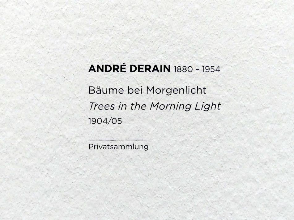 André Derain (1904–1944), Bäume bei Morgenlicht, Wien, Albertina, Sammlung Batliner, Saal 2, 1904–1905, Bild 2/2