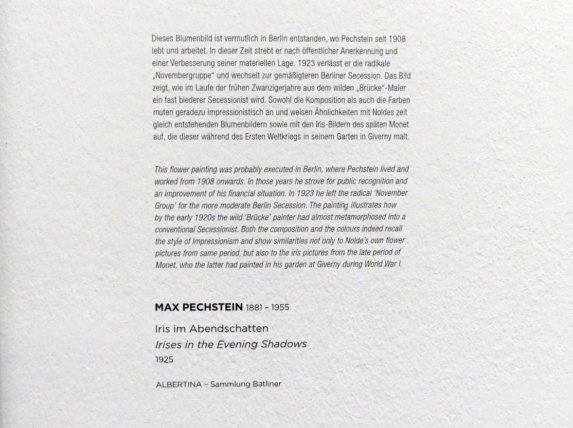 Max Pechstein (1895–1953), Iris im Abendschatten, Wien, Albertina, Sammlung Batliner, Saal 3, 1925, Bild 2/2