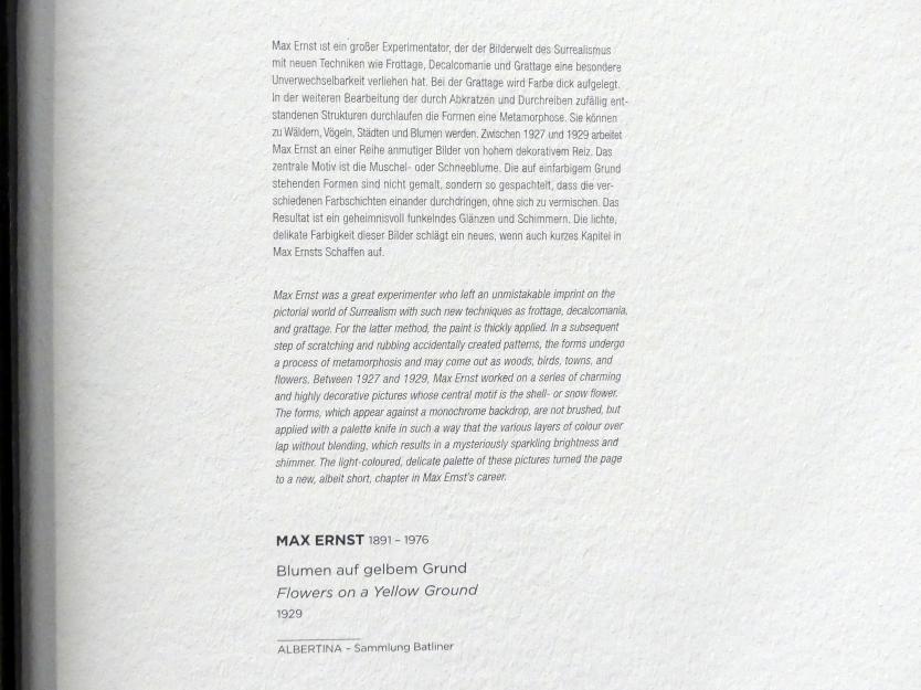 Max Ernst (1912–1970), Blumen auf gelbem Grund, Wien, Albertina, Sammlung Batliner, Saal 7, 1929, Bild 2/2