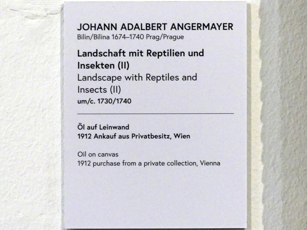 Johann Adalbert Angermayer (1708–1735), Landschaft mit Reptilien und Insekten (II), Wien, Museum Oberes Belvedere, Saal 14, um 1730–1740, Bild 2/2