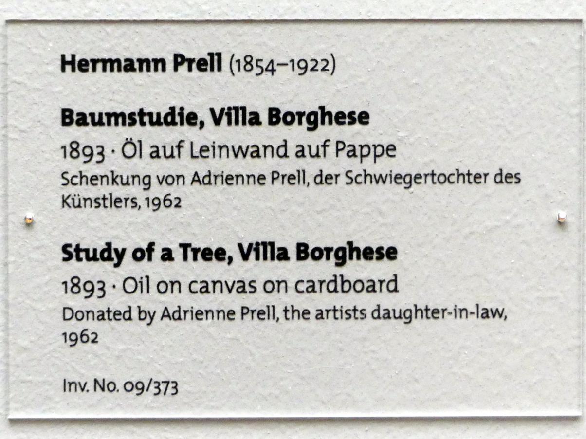 Hermann Prell (1893–1900), Baumstudie, Villa Borghese, Dresden, Albertinum, Galerie Neue Meister, 2. Obergeschoss, Saal 1, 1893, Bild 2/2