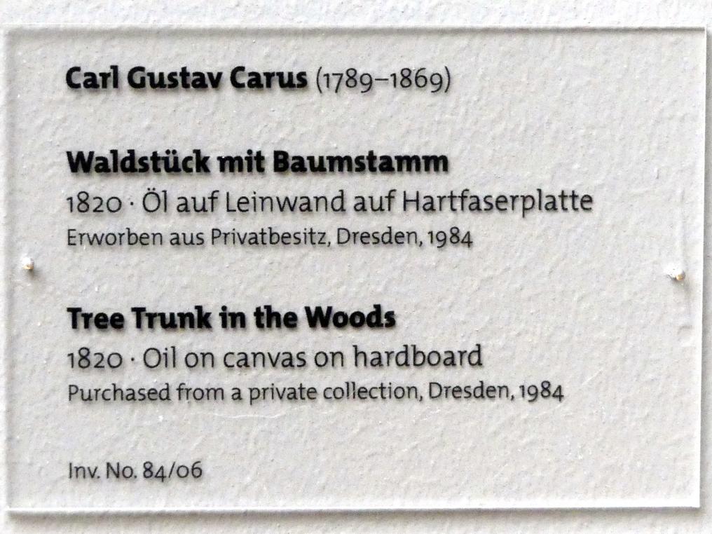 Carl Gustav Carus (1819–1845), Waldstück mit Baumstamm, Dresden, Albertinum, Galerie Neue Meister, 2. Obergeschoss, Saal 1, 1820, Bild 2/2