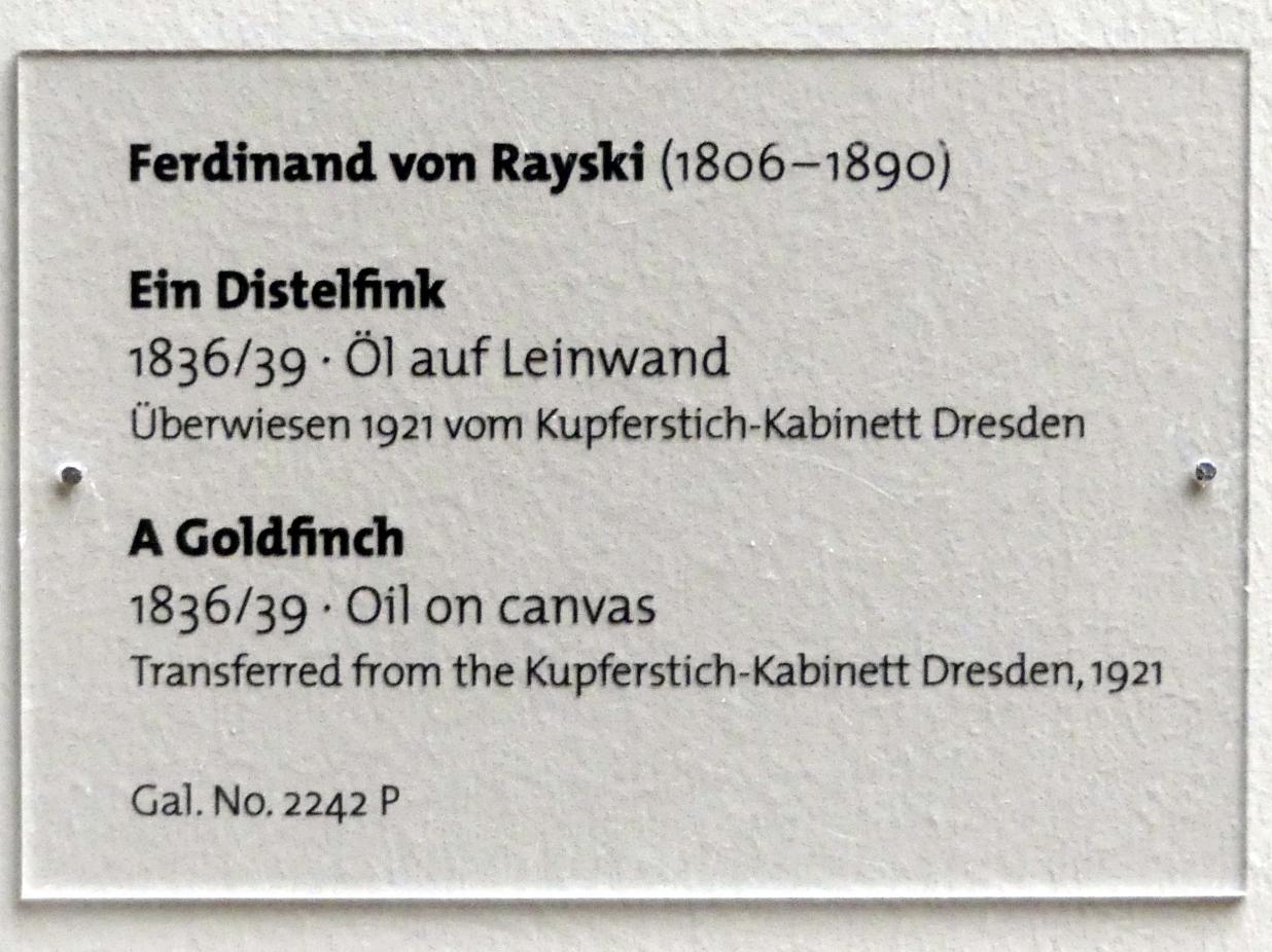 Ferdinand von Rayski (1837–1875), Ein Distelfink, Dresden, Albertinum, Galerie Neue Meister, 2. Obergeschoss, Saal 5, 1836–1839, Bild 2/2