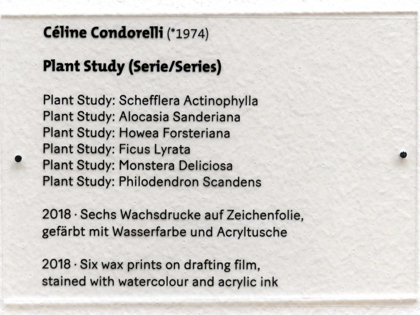 Céline Condorelli (2018–2019), Plant Studies (Serie/Series), Dresden, Albertinum, Galerie Neue Meister, 2. Obergeschoss, Saal 18, 2018, Bild 2/2