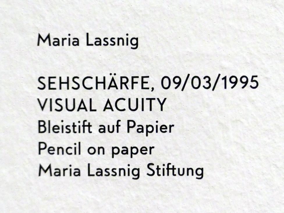 Maria Lassnig (1945–2011), Sehschärfe, München, Lenbachhaus, Kunstbau, Ausstellung "BODY CHECK" vom 21.05.-15.09.2019, 1995, Bild 2/2