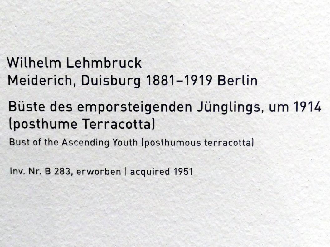Wilhelm Lehmbruck (1909–1918), Büste des emporsteigenden Jünglings, München, Pinakothek der Moderne, Saal 1, um 1914, Bild 5/5