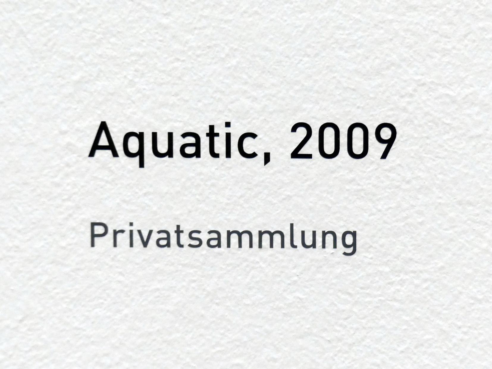 Raoul De Keyser (1964–2012), Aquatic, München, Pinakothek der Moderne, Ausstellung "Raoul De Keyser – Œuvre" vom 05.04.-08.09.2019, Saal 26, 2009, Bild 2/2