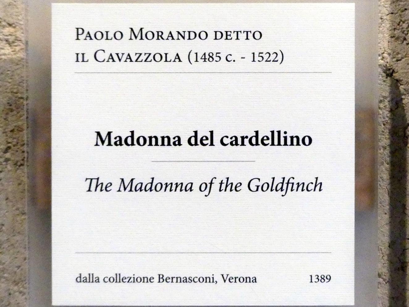 Paolo Morando (Cavazzola) (1504–1522), Maria mit Kind und dem Johannesknaben, Verona, Museo di Castelvecchio, Saal 20, Undatiert, Bild 2/2