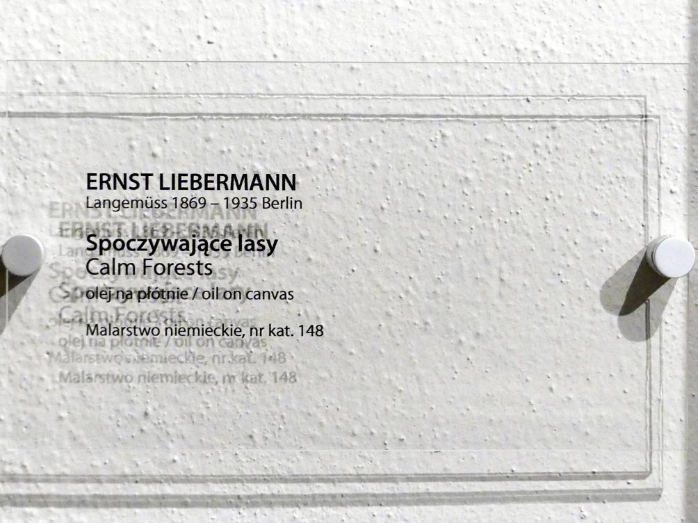 Ernst Liebermann (1912–1915), Stille Wälder, Breslau, Nationalmuseum, 2. OG, Korridor, Undatiert, Bild 2/2