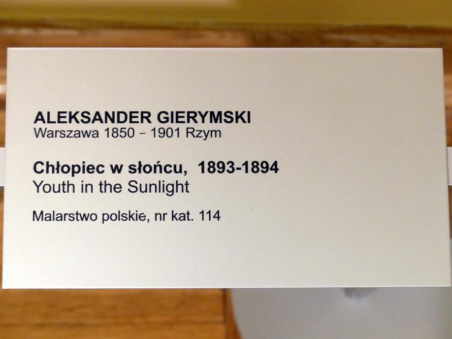 Aleksander Gierymski (1893–1896), Junge im Sonnenschein, Breslau, Nationalmuseum, 1. OG, schlesische Kunst 17.-19. Jhd., Saal 4, 1893–1894, Bild 2/2