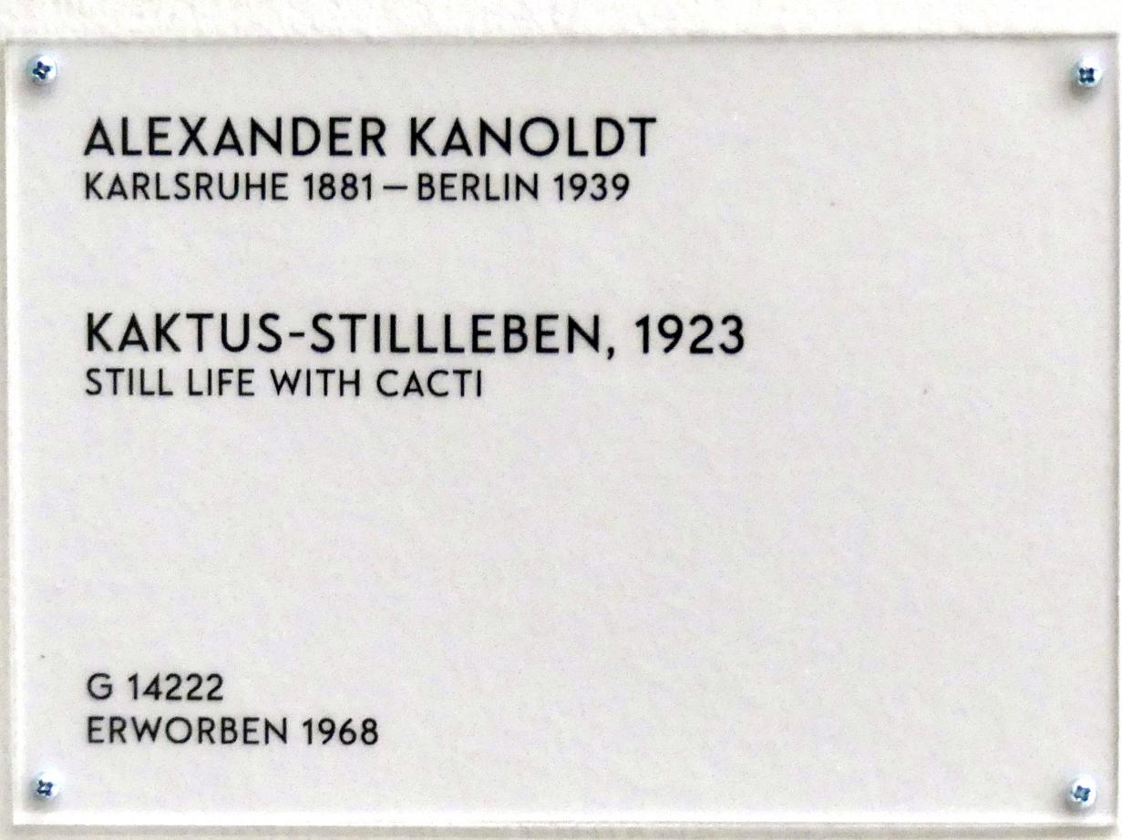 Alexander Kanoldt (1910–1929), Kaktus-Stillleben, München, Lenbachhaus, Saal 28, 1923, Bild 2/2
