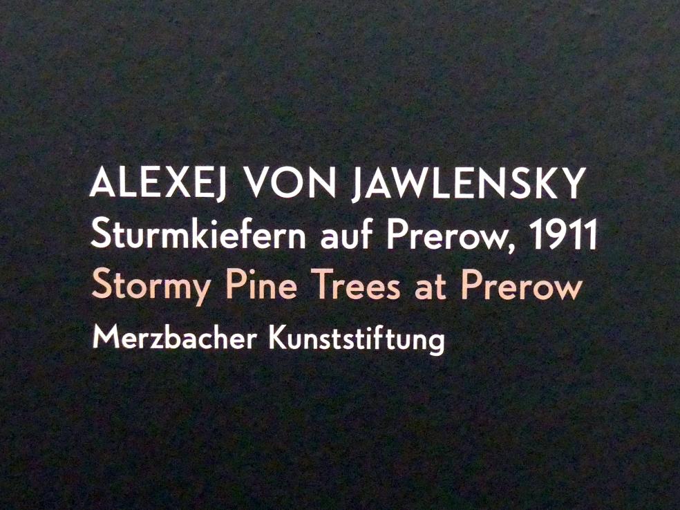 Alexej von Jawlensky (1893–1938), Sturmkiefern auf Prerow, München, Lenbachhaus, Kunstbau, Ausstellung "Lebensmenschen" vom 22.10.2019-16.02.2020, Sommerferien an der Ostsee 1911, 1911, Bild 2/2