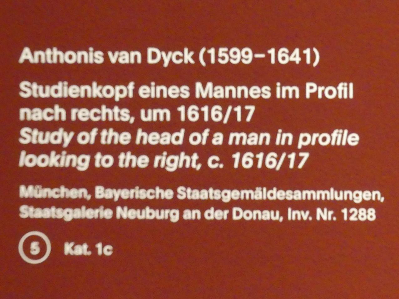 Anthonis (Anton) van Dyck (1614–1641), Studienkopf eines Mannes im Profil nach rechts, München, Alte Pinakothek, Ausstellung "Van Dyck" vom 25.10.2019-02.02.2020, Die Anfänge - 2, um 1616–1617, Bild 2/2