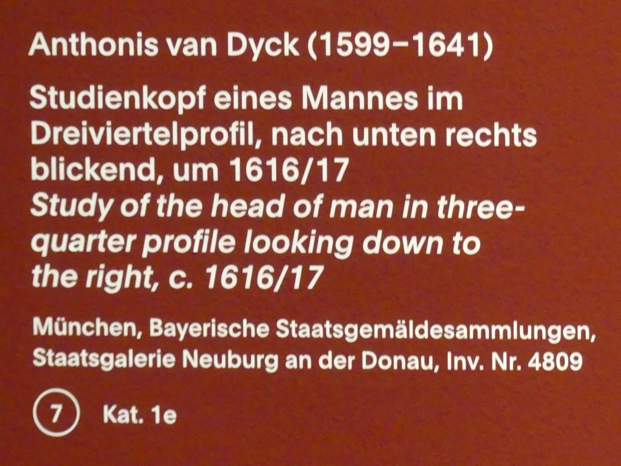 Anthonis (Anton) van Dyck (1614–1641), Studienkopf eines Mannes im Dreiviertelprofil, nach unten rechts blickend, München, Alte Pinakothek, Ausstellung "Van Dyck" vom 25.10.2019-02.02.2020, Die Anfänge - 2, um 1616–1617, Bild 2/2