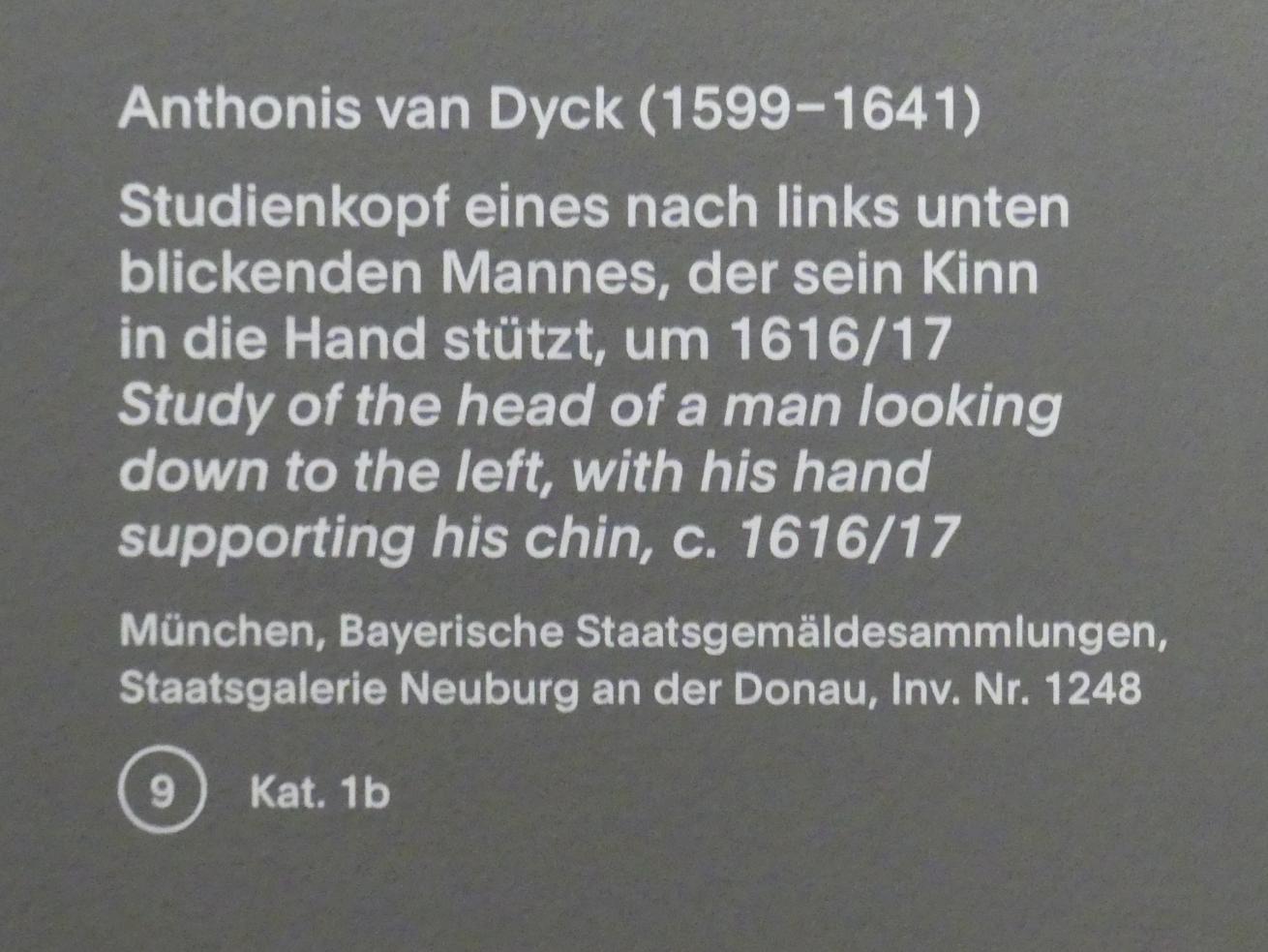 Anthonis (Anton) van Dyck (1614–1641), Studienkopf eines nach links unten blickenden Mannes, der sein Kinn in die Hand stützt, München, Alte Pinakothek, Ausstellung "Van Dyck" vom 25.10.2019-02.02.2020, Die Anfänge - 2, um 1616–1617, Bild 2/2