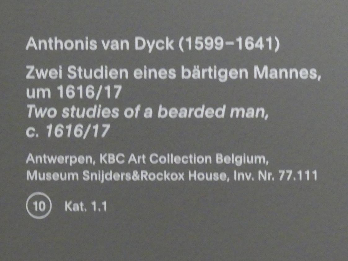 Anthonis (Anton) van Dyck (1614–1641), Zwei Studien eines bärtigen Mannes, München, Alte Pinakothek, Ausstellung "Van Dyck" vom 25.10.2019-02.02.2020, Die Anfänge - 2, um 1616–1617, Bild 2/3