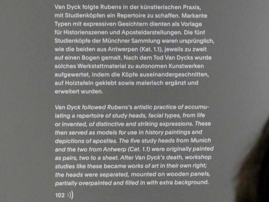 Anthonis (Anton) van Dyck (1614–1641), Zwei Studien eines bärtigen Mannes, München, Alte Pinakothek, Ausstellung "Van Dyck" vom 25.10.2019-02.02.2020, Die Anfänge - 2, um 1616–1617, Bild 3/3