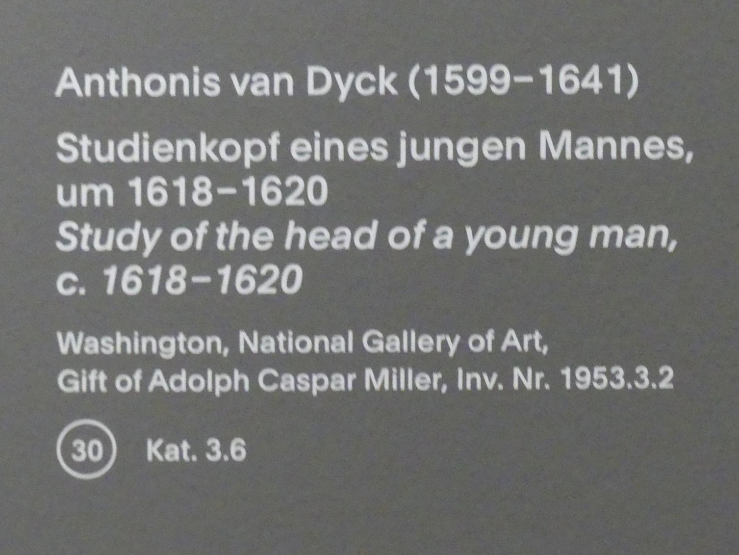 Anthonis (Anton) van Dyck (1614–1641), Studienkopf eines jungen Mannes, München, Alte Pinakothek, Ausstellung "Van Dyck" vom 25.10.2019-02.02.2020, Die Anfänge - 3, um 1618–1620, Bild 2/2