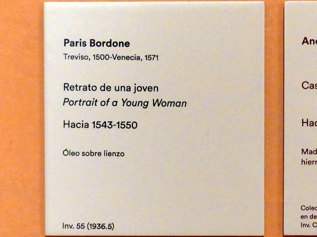 Paris Bordone (1523–1560), Porträt einer jungen Frau, Madrid, Museo Thyssen-Bornemisza, Saal 6, Galeria Villahermosa, um 1543–1550, Bild 2/2