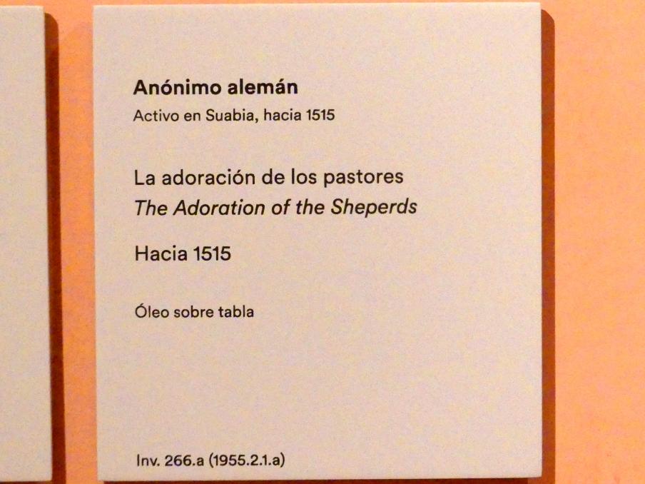 Anbetung der Hirten, Madrid, Museo Thyssen-Bornemisza, Saal 6, Galeria Villahermosa, um 1515, Bild 2/2
