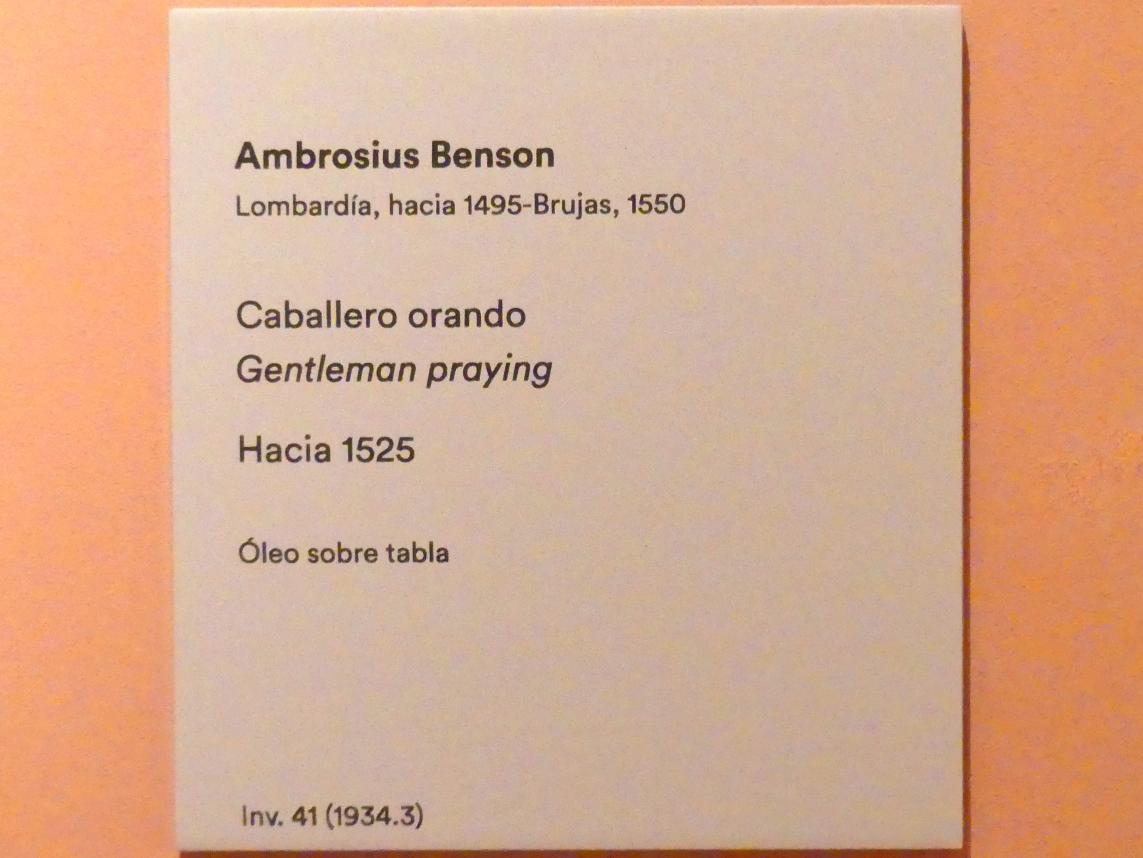 Ambrosius Benson (1525–1531), Betender Edelmann, Madrid, Museo Thyssen-Bornemisza, Saal 6, Galeria Villahermosa, um 1525, Bild 2/2