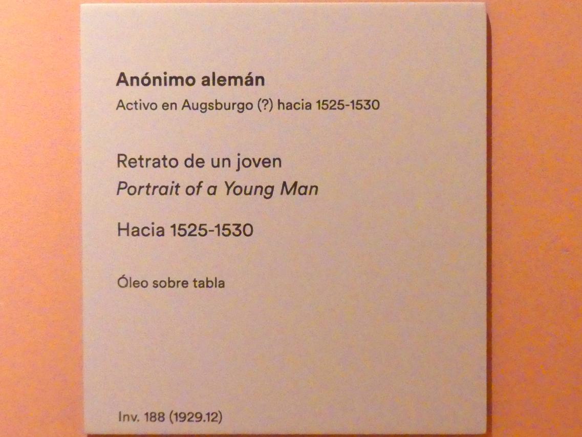 Porträt eines jungen Mannes, Madrid, Museo Thyssen-Bornemisza, Saal 6, Galeria Villahermosa, um 1525–1530, Bild 2/2