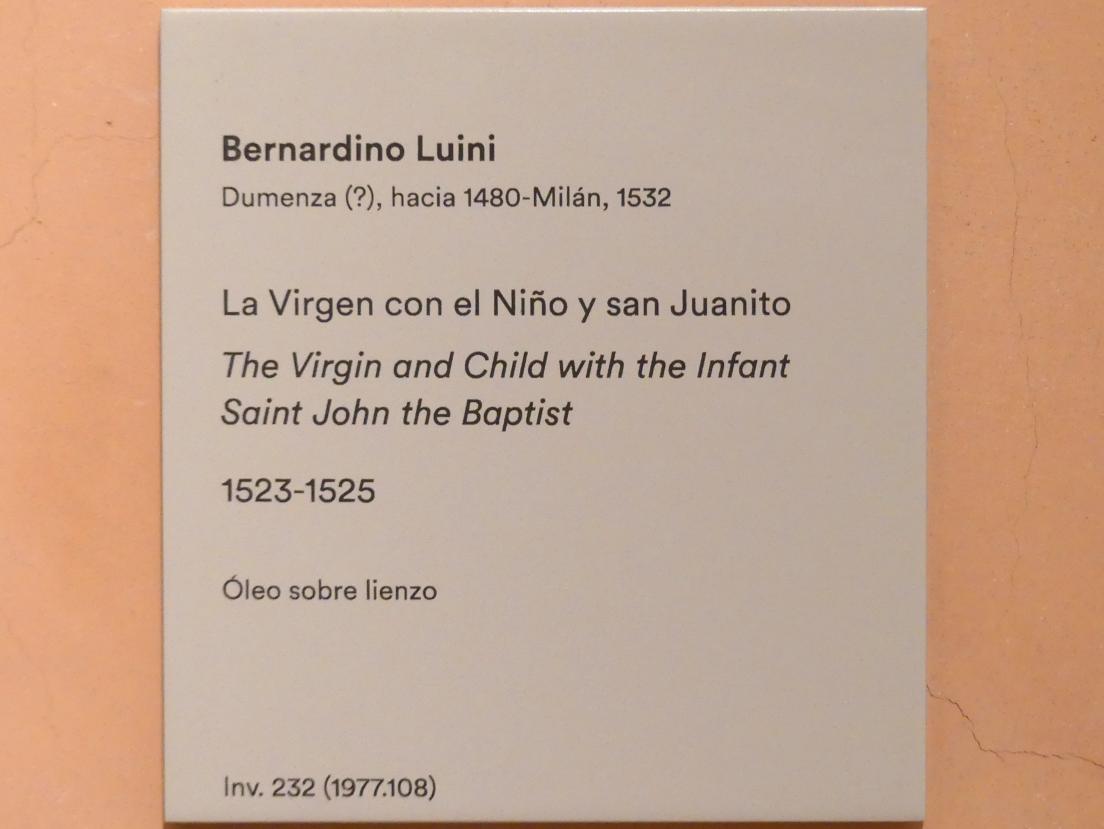 Bernardino Luini (1510–1527), Die Jungfrau mit Kind und dem Johannesknaben, Madrid, Museo Thyssen-Bornemisza, Saal 7, italienische Malerei des 16. Jahrhunderts, um 1523–1525, Bild 2/2