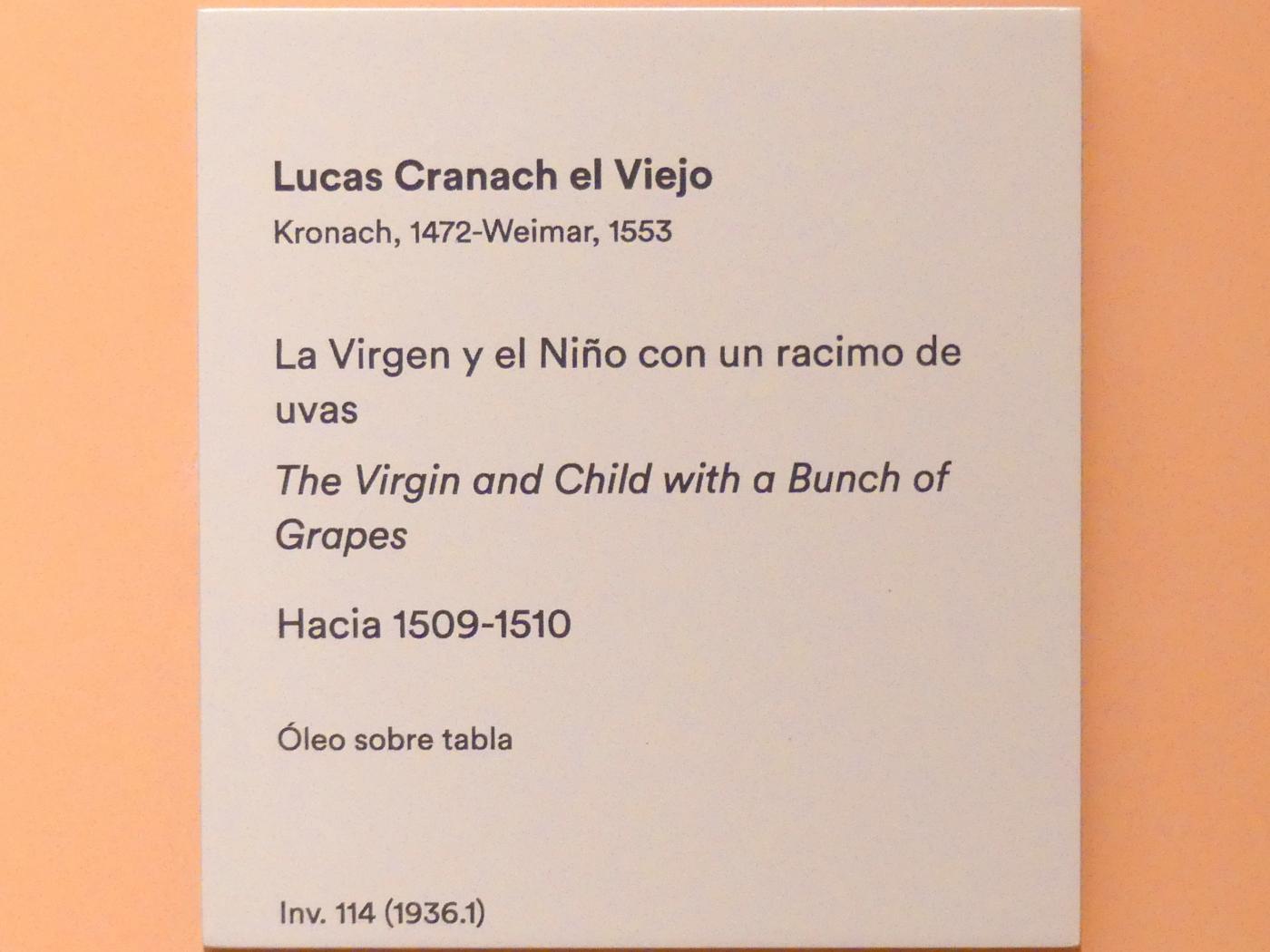 Lucas Cranach der Ältere (1502–1550), Maria mit dem Kind und der Weintraube, Madrid, Museo Thyssen-Bornemisza, Saal 8, deutsche Malerei des 15. und 16. Jahrhunderts, um 1509–1510, Bild 2/2