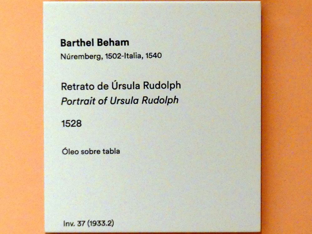 Barthel Beham (1523–1540), Porträt von Ursula Rudolph, Madrid, Museo Thyssen-Bornemisza, Saal 9, deutsche Malerei des 15. und 16. Jahrhunderts, 1528, Bild 2/2