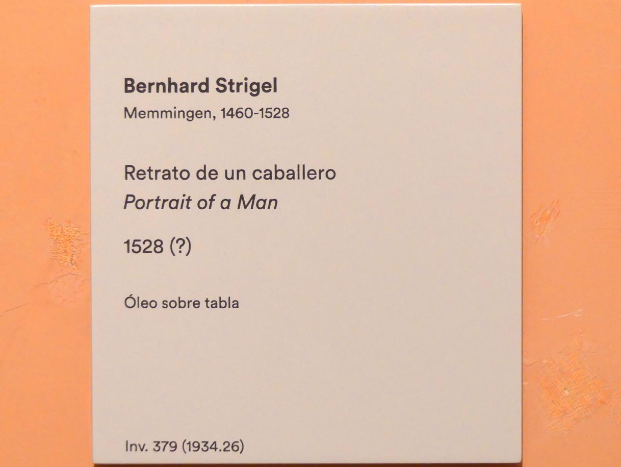 Bernhard Strigel (1475–1528), Porträt eines Mannes, Madrid, Museo Thyssen-Bornemisza, Saal 9, deutsche Malerei des 15. und 16. Jahrhunderts, 1528, Bild 2/2